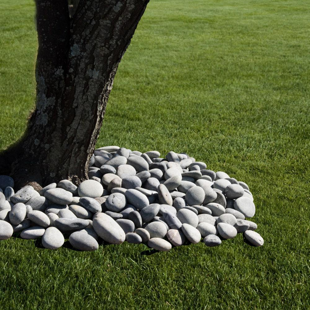 Pebble pathway in a garden