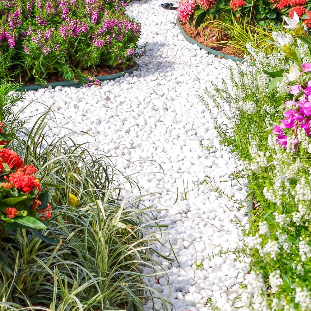 Rock garden with colorful succulents