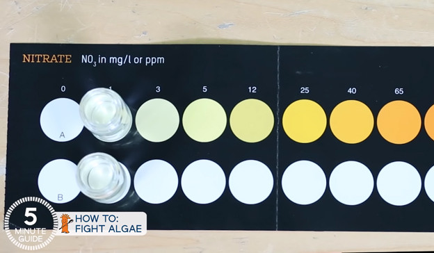 Nitrate test kit used to measure nutrient levels in aquarium water