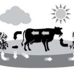 Renewable Natural Resources