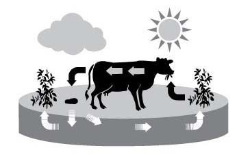Renewable Natural Resources