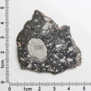 NWA 16127 Martian Meteorite