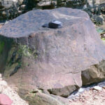 Petrified tree stump with detailed wood grain patterns, showcasing permineralization