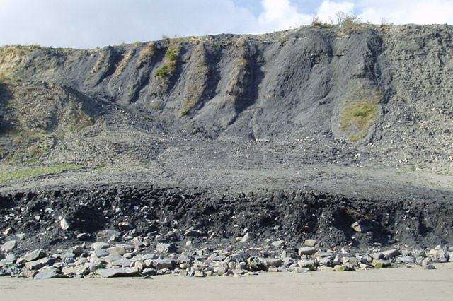 Gullies in a cliff face made of dark-coloured rock, forming a landslide on a beach