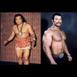Peter Maivia Rocky Johnson