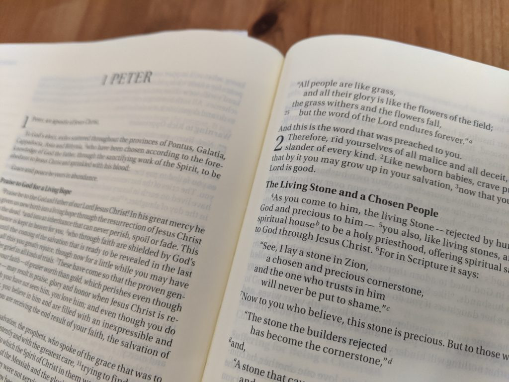 What did Peter think Jesus meant?