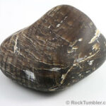Petrified wood