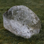 Pet Rock packaging with air holes