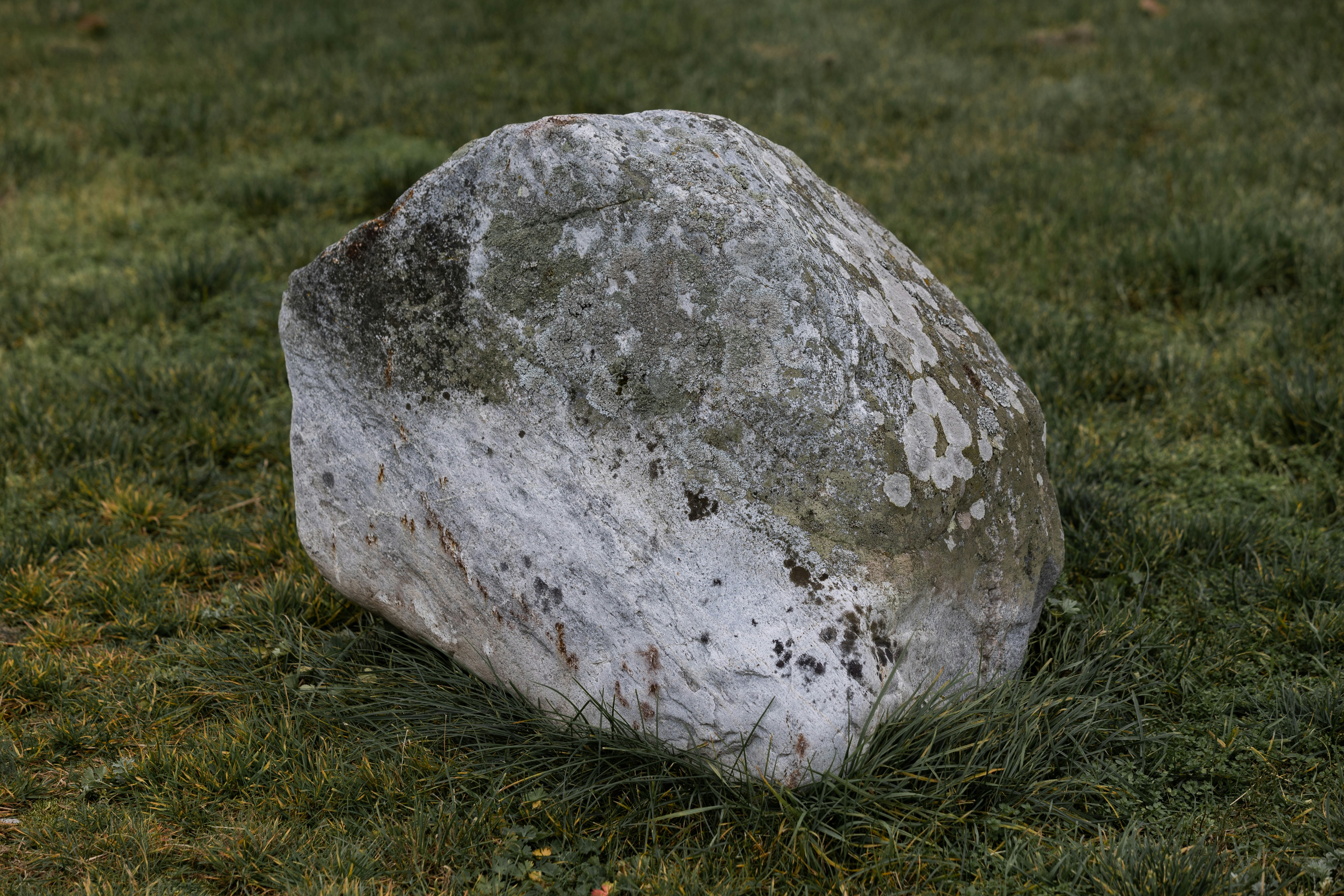 Pet Rock packaging with air holes