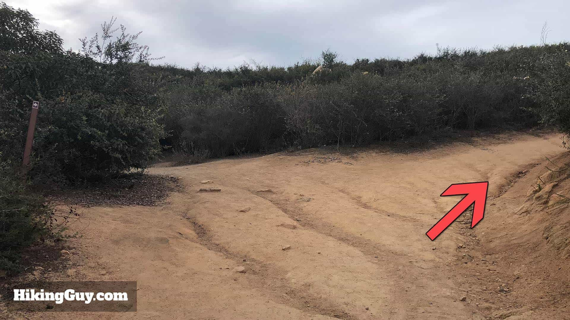 trail turn