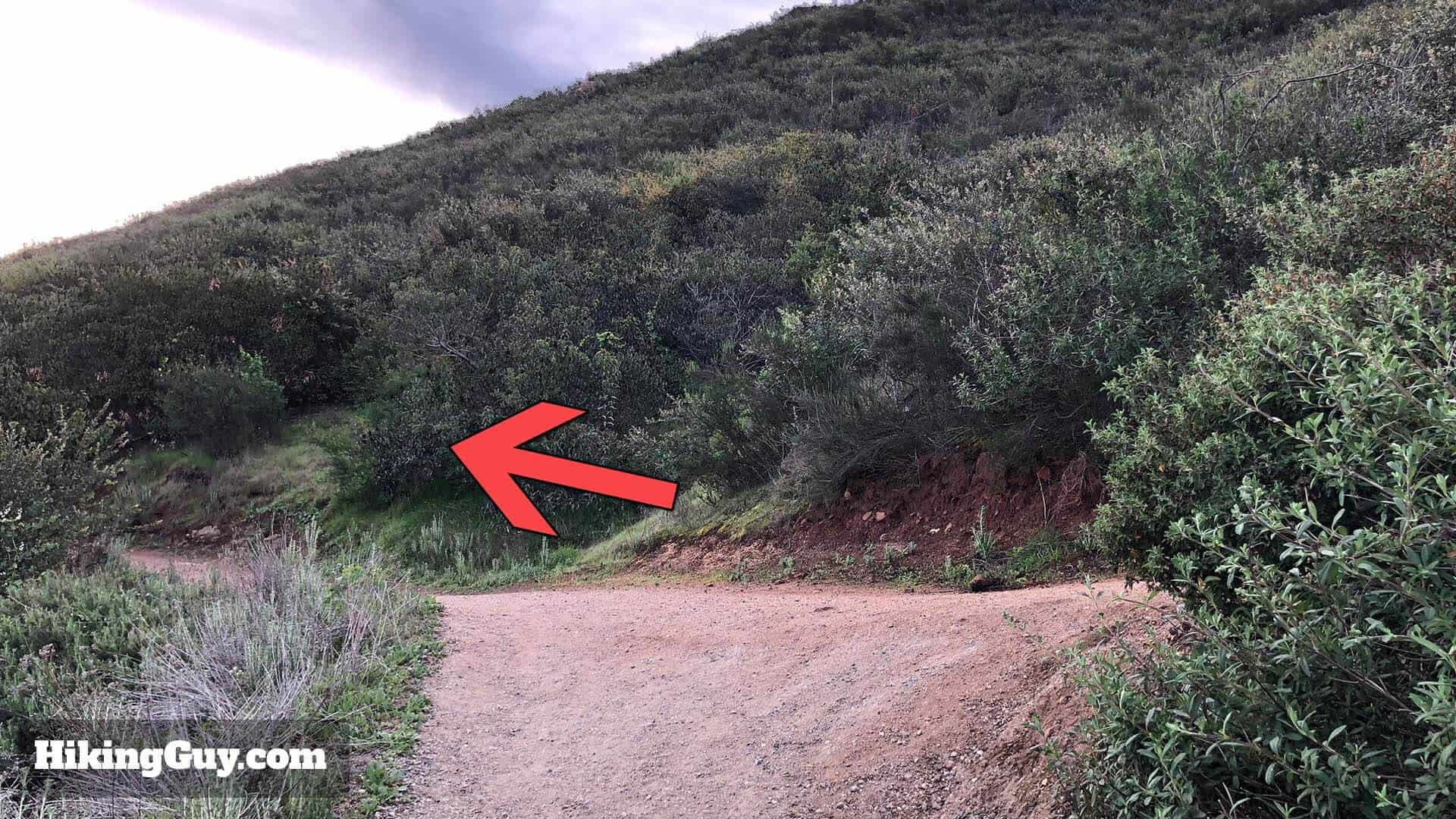 poway trail