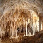 Soda straw stalactites and columns in Carlsbad Caverns National Park, showcasing mineral accumulation