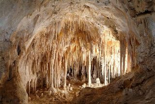 Soda straw stalactites and columns in Carlsbad Caverns National Park, showcasing mineral accumulation
