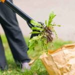 Landscape Fabric Weed Barrier Installation