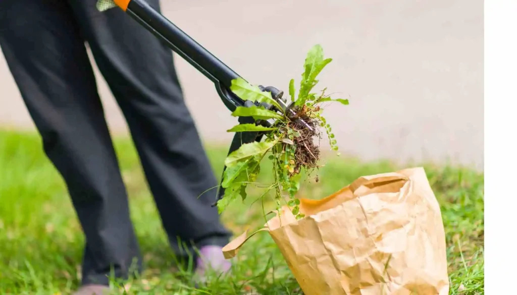 Landscape Fabric Weed Barrier Installation