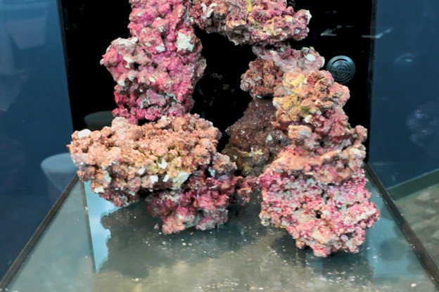 Red Sea E-170 with Real Reef Rock