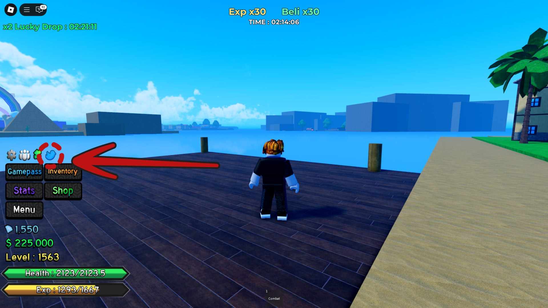 Blue bird icon indicating the codes bar in Rock Fruit
