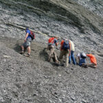 Shale rock face with thin layers, demonstrating its fissile nature