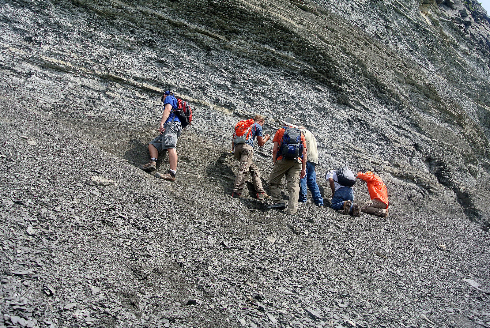 Shale rock face with thin layers, demonstrating its fissile nature