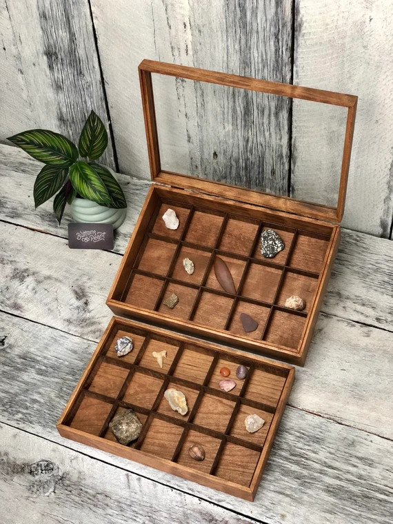 Rock samples neatly organized in a wooden collection box with individual compartments