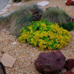 Rock Mulch Garden Bed
