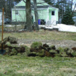 Manual rock removal using a garden fork and gloves