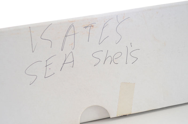 A variety of seashells displayed in a Land's End shoebox, illustrating a collector's early storage methods and a touch of personal history.