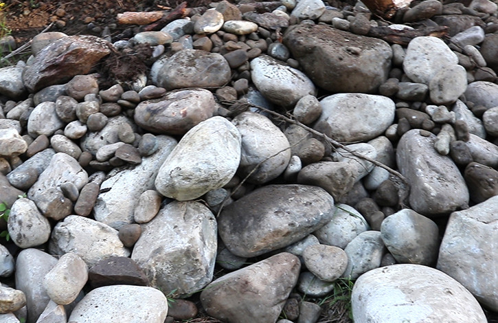 Just some of the rocks that we removed from the soil.