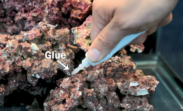 Ryan using reef glue to secure rocks together
