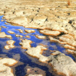 Limestone bedrock beneath the San Gabriel River, Texas.