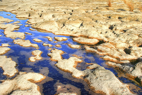 Limestone bedrock beneath the San Gabriel River, Texas.