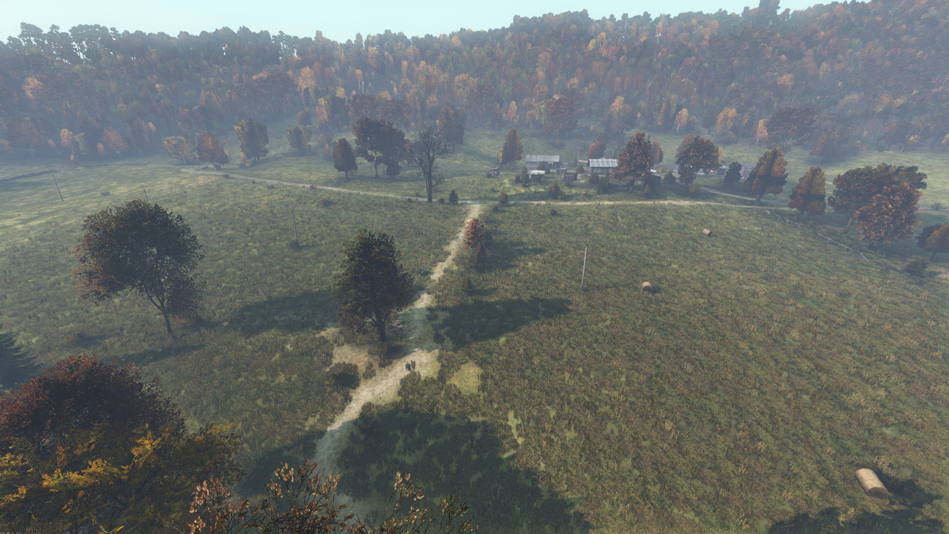 Small stones found along a hiking path, perfect for gathering resources in DayZ