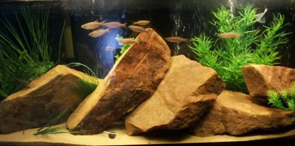 Sedimentary Sandstone in an Aquarium