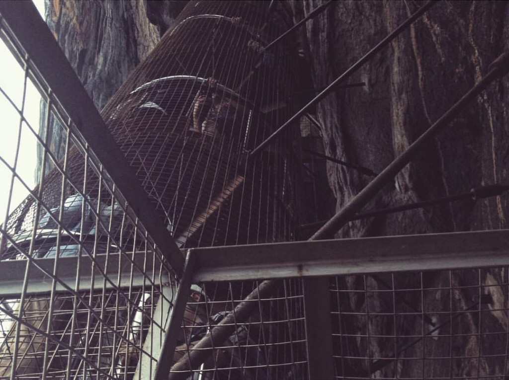 The iconic lion's paws at Sigiriya, remnants of the massive lion statue that once guarded the entrance
