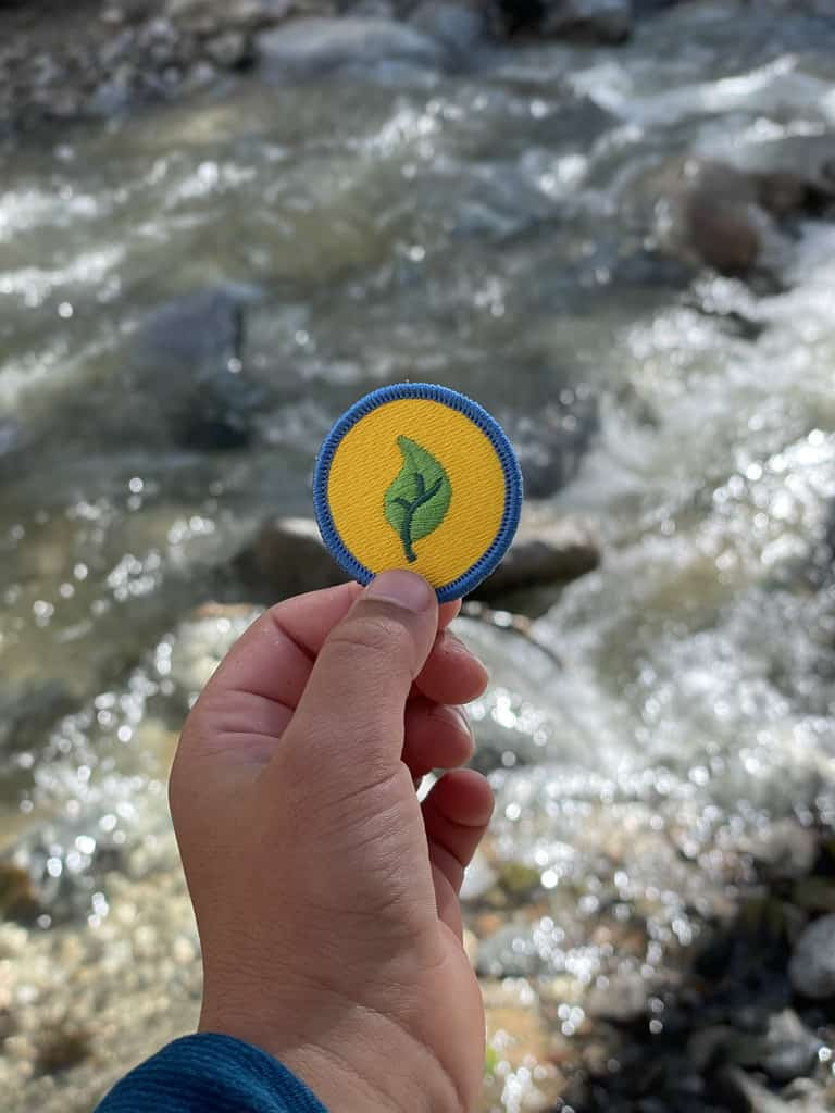 Nature Explorer Patch: A commemorative patch for nature enthusiasts, symbolizing outdoor exploration and appreciation, earned through activities like skipping stones