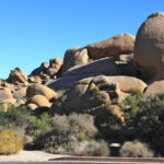 Skull Rock is even easier to find, as it is located right on the main road that runs through the park