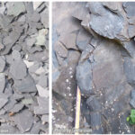 Slate fragments resulting from rock cleavage