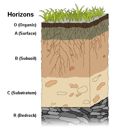 Image showing simplified soil profile