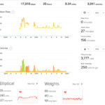 Dwayne the Rock Johnson workout stats