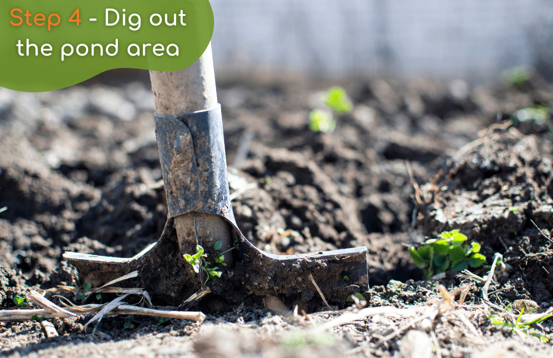 Process of digging out a pond area with a square-edged spade