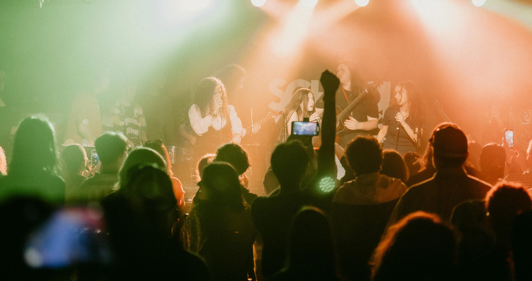 A crowd at a rock concert, showing the diverse audience and the unifying power of music