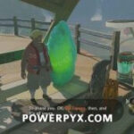 Hagie in Tarrey Town ready to sell the rock for the shrine quest
