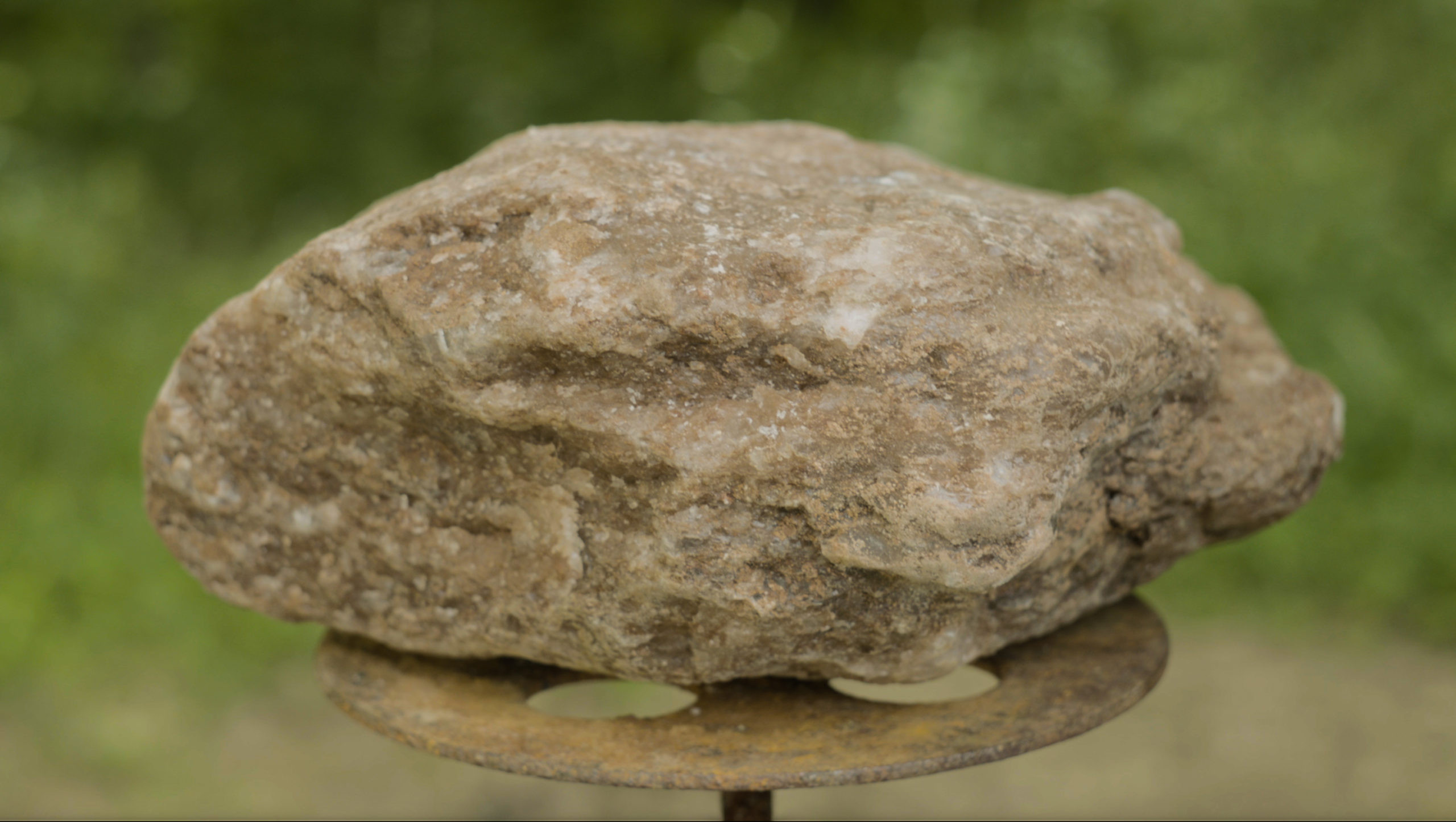 Trophy Rock salt for deer