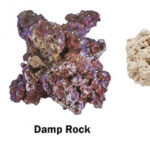 Types of live rock