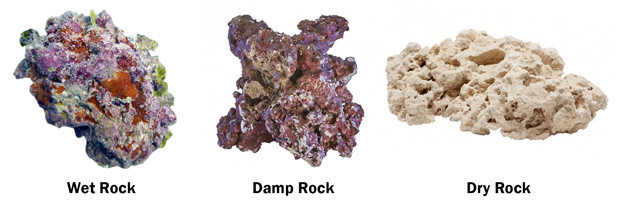 Types of live rock