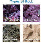 Different types of Live Rock and Dry Rock
