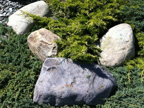 Pile of Welsh quartz boulders for garden landscaping