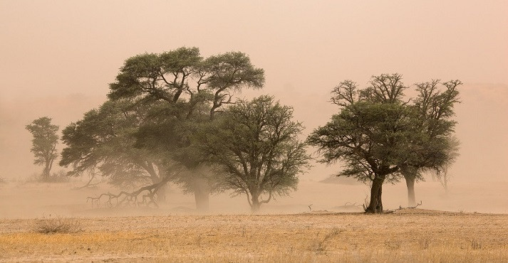 wind storm
