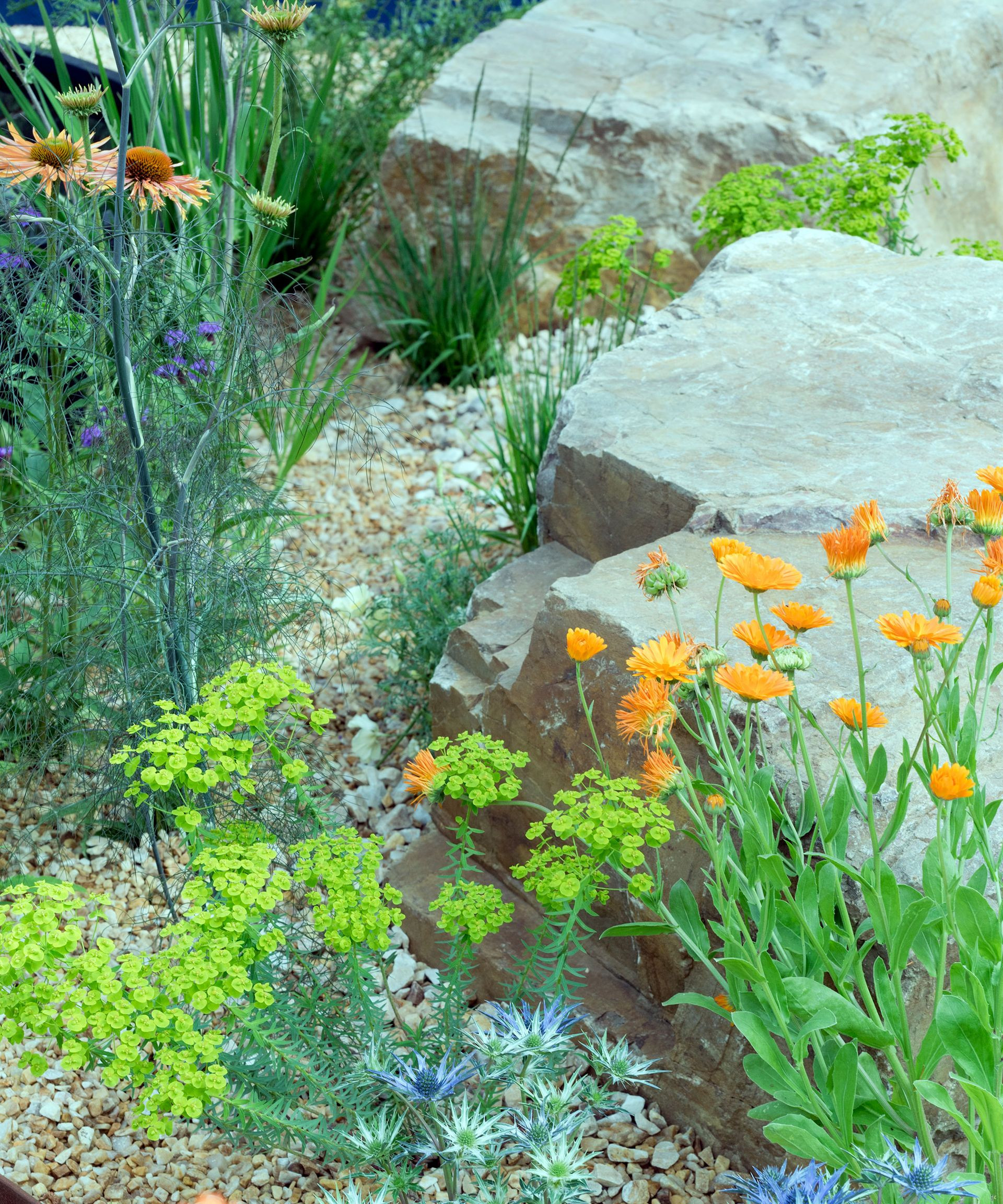 large boulders in a gravel garden