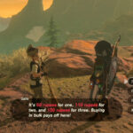 Goron City View